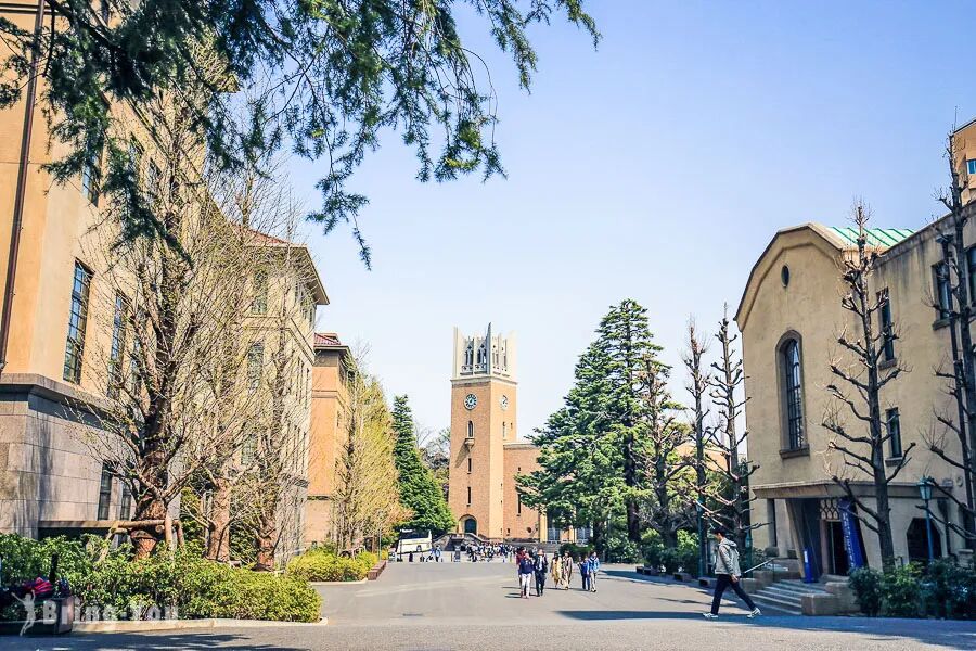 Exclusive Career Development Program for Japanese Major University Students